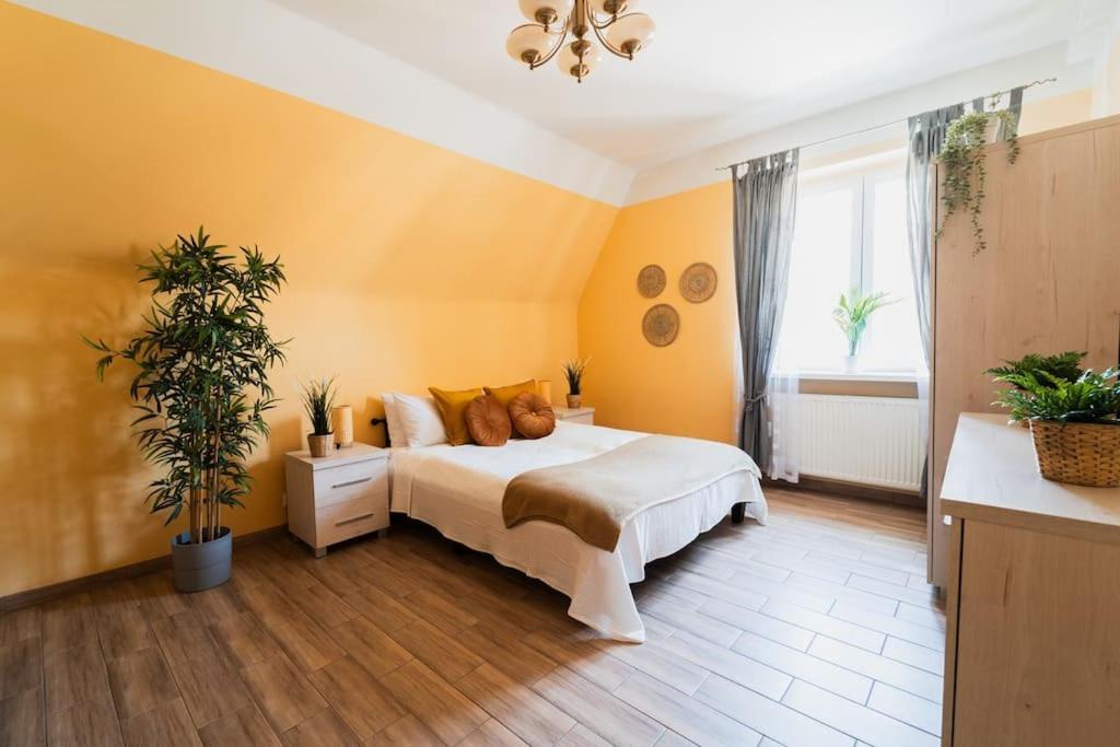 ורוצלב Market Square - Street Rynek 24 -2 Rooms מראה חיצוני תמונה
